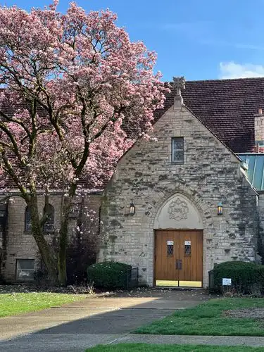 Timeless architecture under a canopy of vibrant pink blossoms.